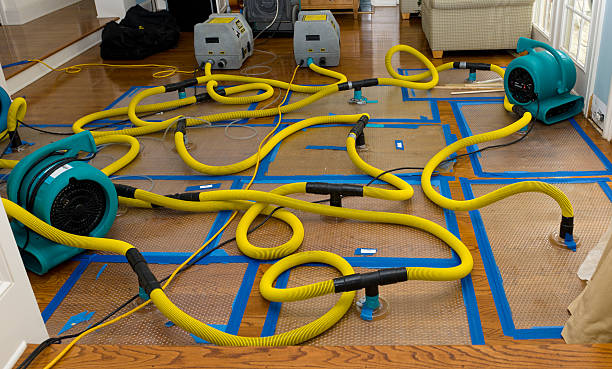 Professional Water Damage Restoration technician working in Newcastle, WY